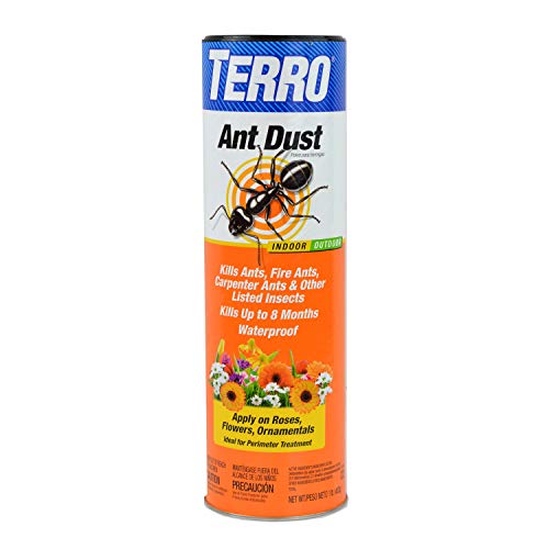 Best Ant Killer Dust