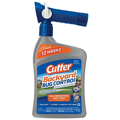 Best Lawn Insect Killer