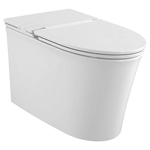 Best Rimless Wall hung Toilet