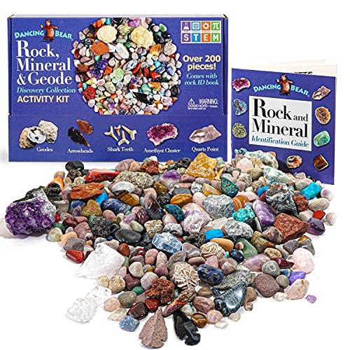 Best Rock Collection Kit