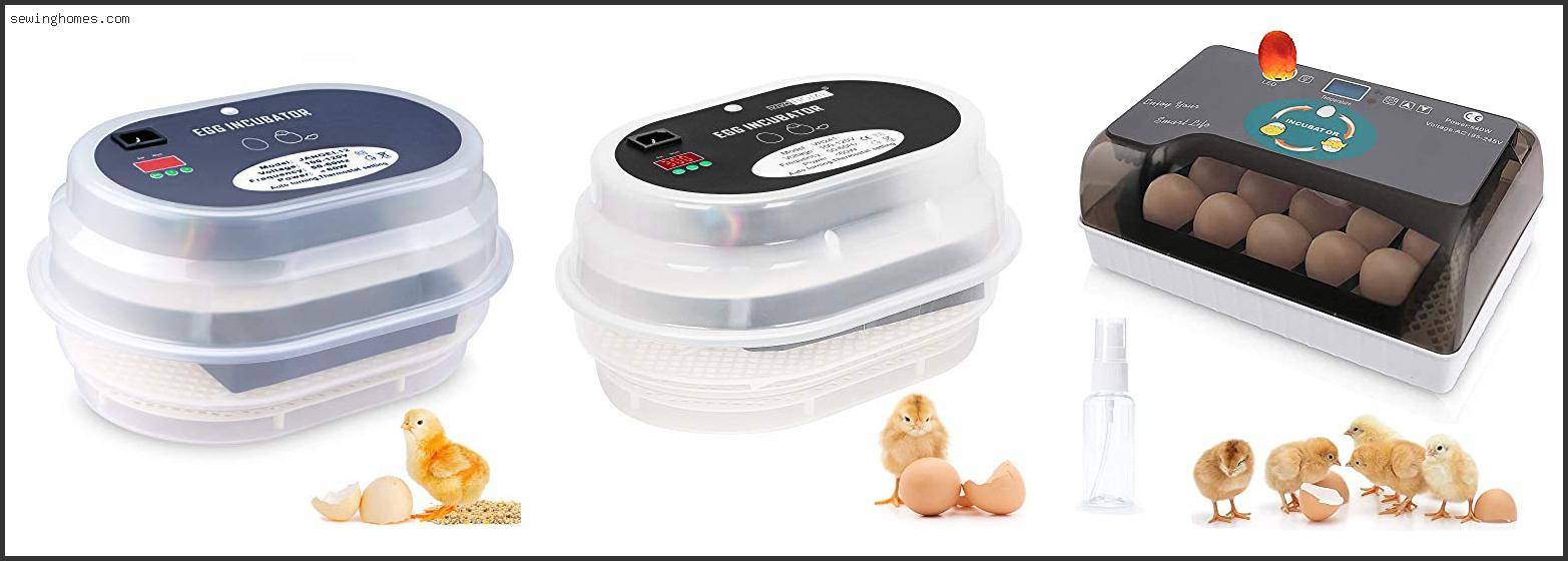 Top 10 Best Incubator For Quail Eggs 2022 – Review & Guide