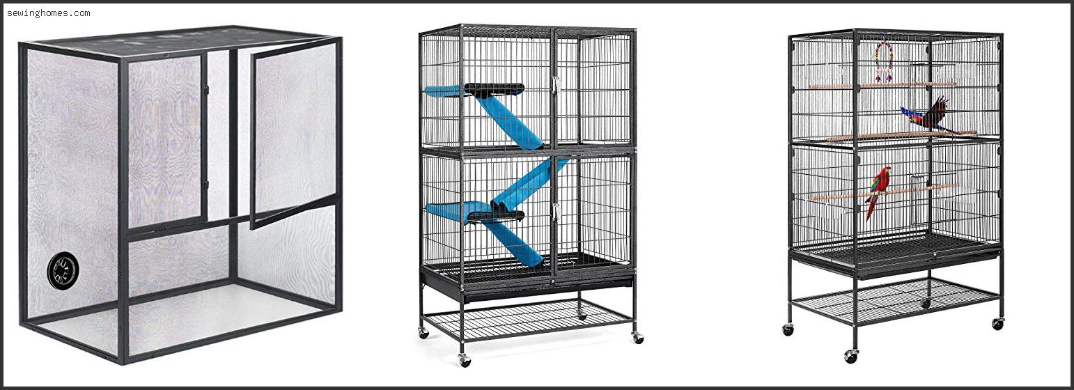 Top 10 Best Iguana Cage 2022 – Review & Guide