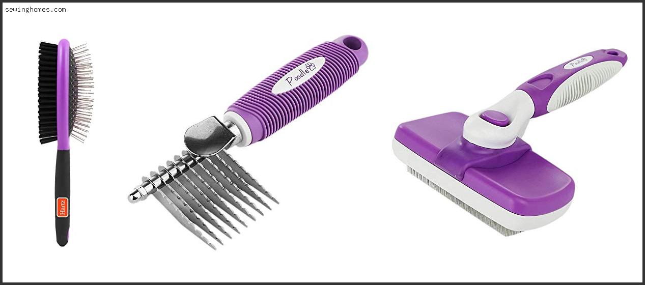 Top 10 Best Brush For Poodle Hair 2022 – Review & Guide