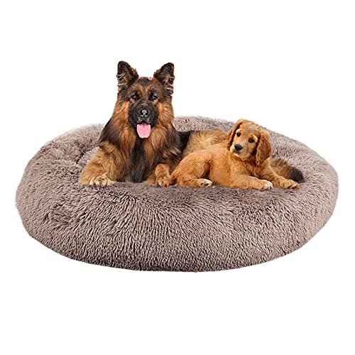 Best Bed for German Shepherd