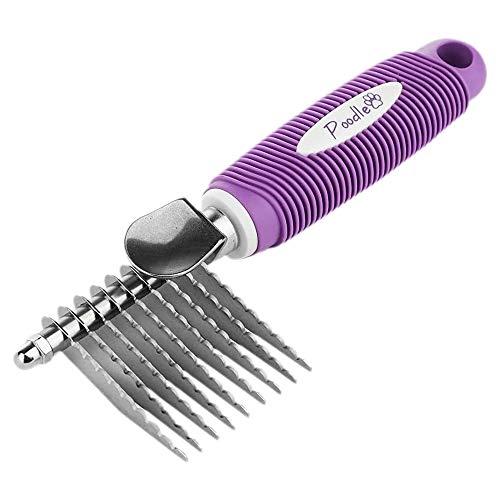 Best Brush For Poodle Hair