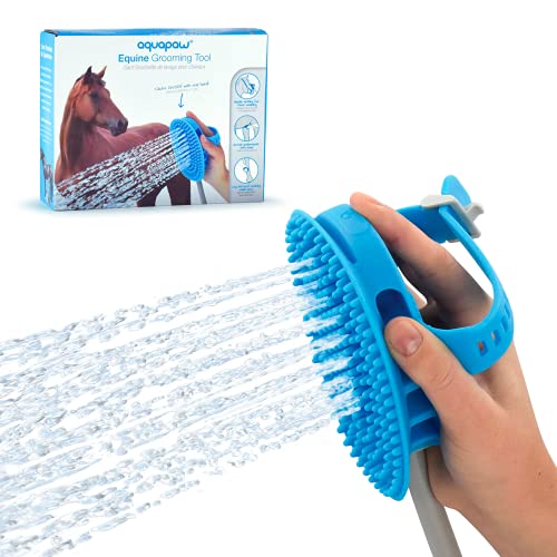 Best Horse Grooming Tools