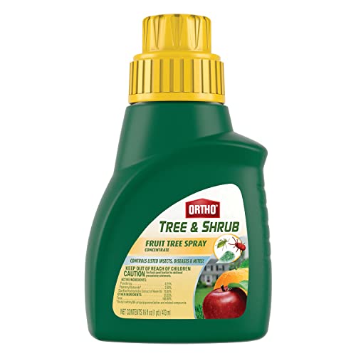 Best Insecticide For Citrus Trees