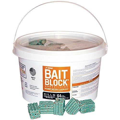 Best Rodent Killer