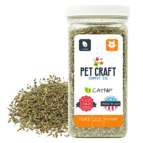 Best Catnip For Cats