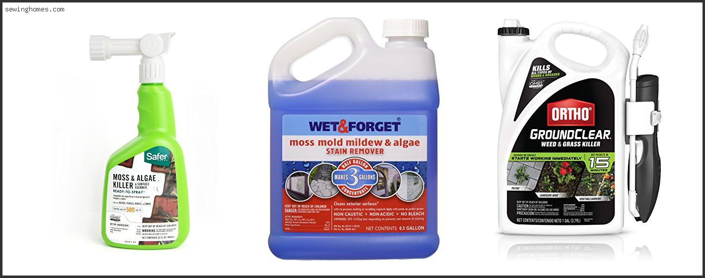 Top 10 Best Moss Killer For Concrete 2022 – Review & Guide
