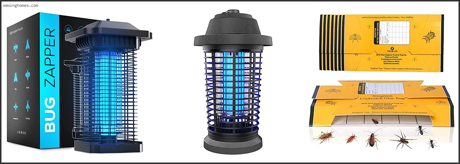 Top 10 Best Stink Bug Trap 2022 – Review & Guide