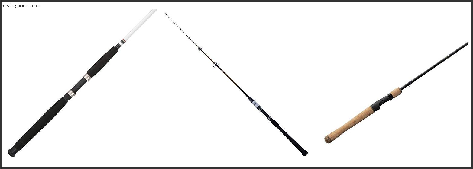 Top 10 Best Heavy Spinning Rod 2022 – Review & Guide