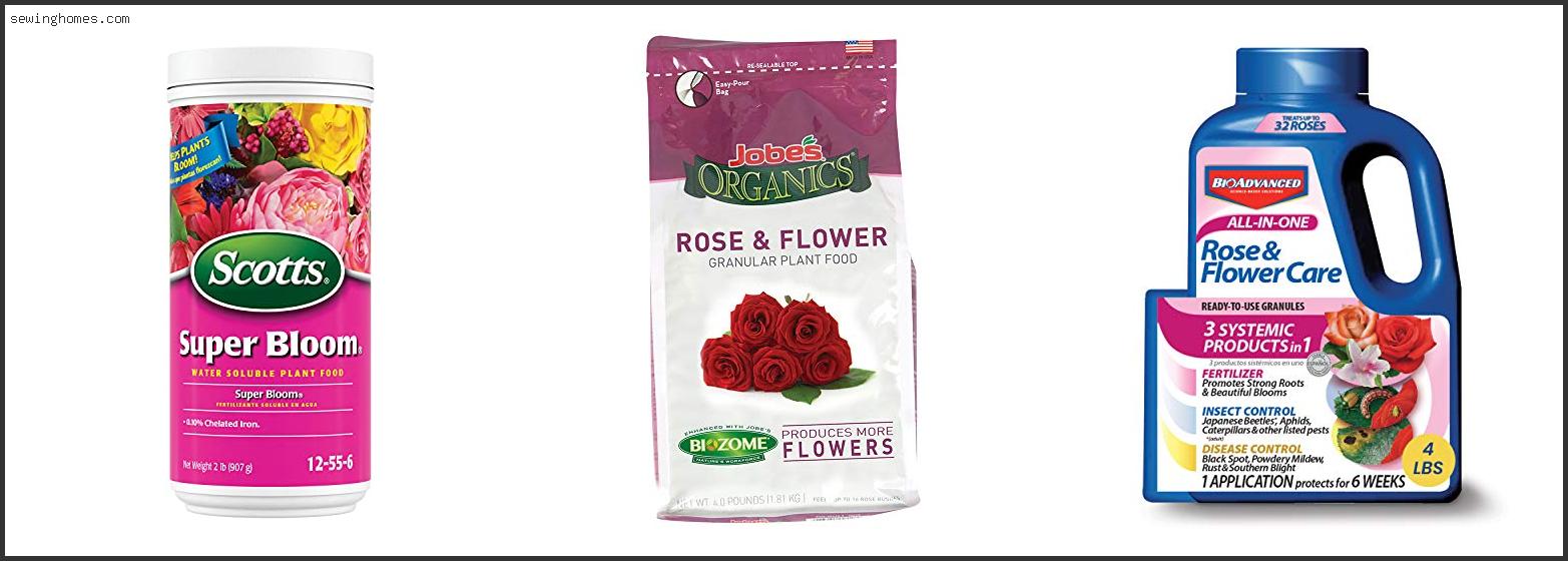 Top 10 Best Knock Out Rose Fertilizer 2022 – Review & Guide