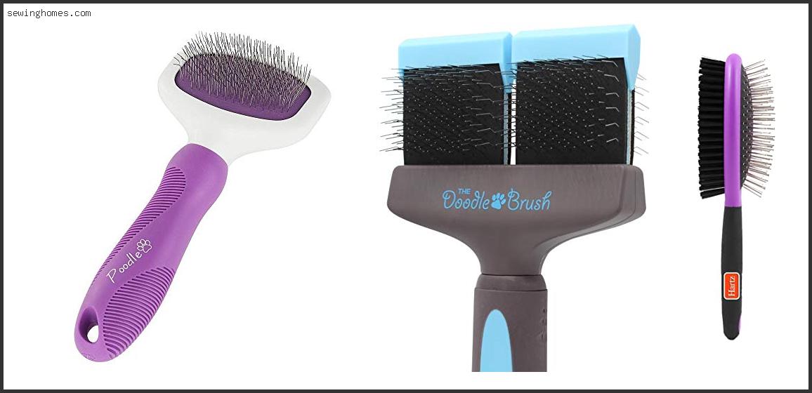 Top 10 Best Brush For Poodle Mix 2023 – Review & Guide